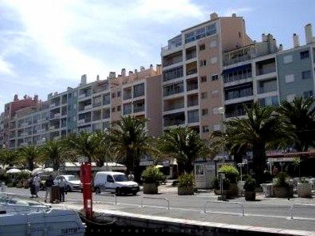 183 HYERES ET SES PALMIERS D14_000031.jpg